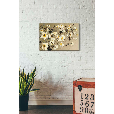 Image of 'Anemones Japonaises Blancs' by Shirley Novak, Canvas Wall Art,26 x 18