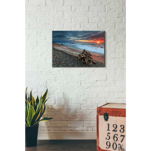 Image of 'Sakonnet Driftwood' by Katherine Gendreau, Giclee Canvas Wall Art