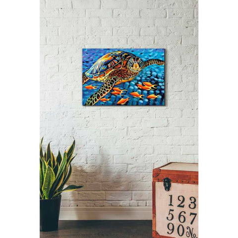 Image of 'Cruising Along I' by Carolee Vitaletti Giclee Canvas Wall Art