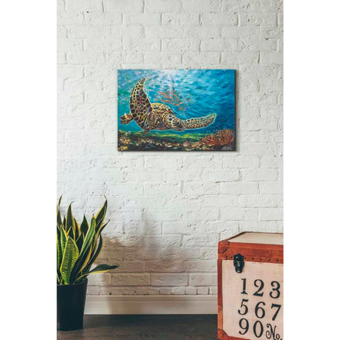 Image of 'Deep Sea Swimming I' by Carolee Vitaletti Giclee Canvas Wall Art
