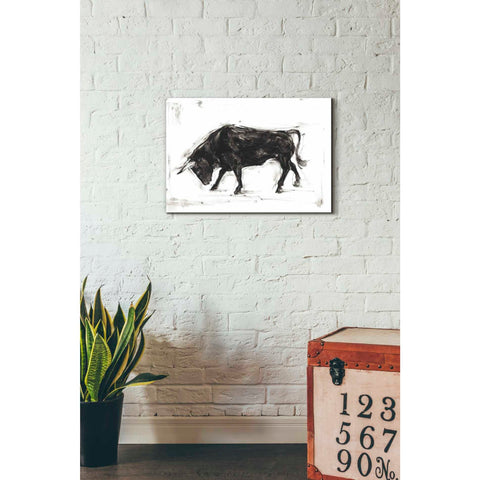 Image of 'Toro I' by Ethan Harper Canvas Wall Art,26 x 18