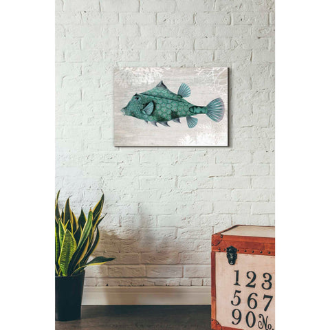 Image of 'Turquoise Turret Fish' by Fab Funky Giclee Canvas Wall Art