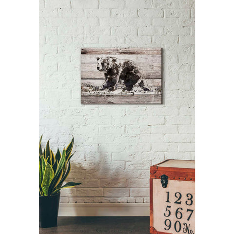 Image of 'Black Bear 1' by Irena Orlov, Canvas Wall Art,26 x 18