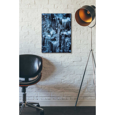 Image of 'Dripping in Diamonds' by Darren White, Canvas Wall Art,18 x 26