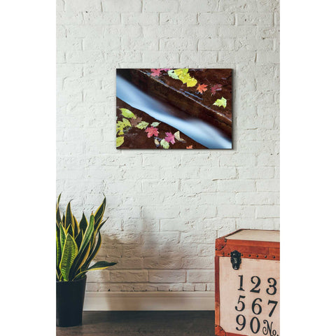 Image of 'A Cut in the Terrace,' Canvas Wall Art,18 x 26