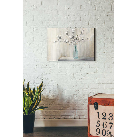 Image of 'Cotton Bouquet' by Julia Purinton, Canvas Wall Art,18 x 26