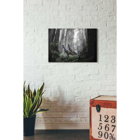 Image of 'Breeding Season' Canvas Wall Art,18 x 26