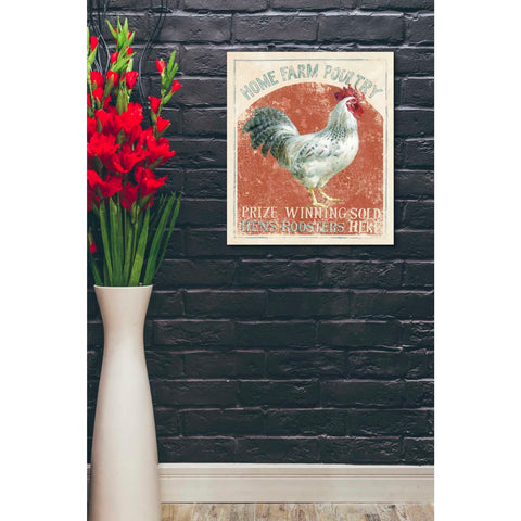 Image of 'Farm Nostalgia IV' by Danhui Nai, Canvas Wall Art,20 x 24