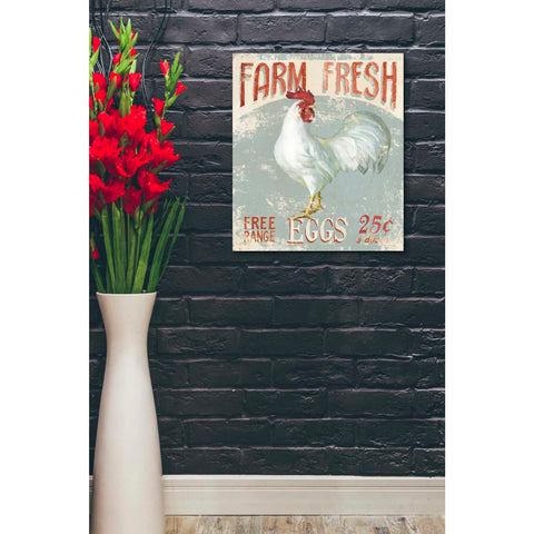 Image of 'Farm Nostalgia III' by Danhui Nai, Canvas Wall Art,20 x 24