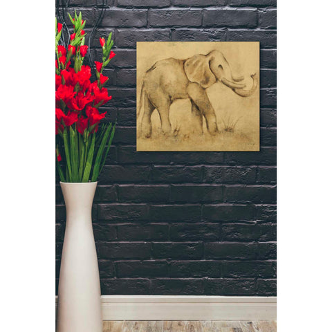 Image of 'Global Elephant Light Crop' by Cheri Blum, Canvas Wall Art,20 x 24