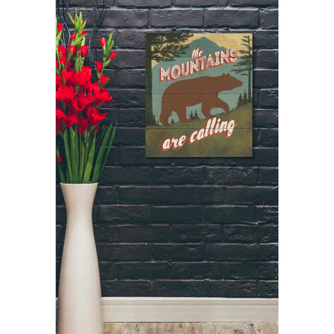 Image of 'Discover the Wild I' by Janelle Penner, Canvas Wall Art,20 x 24