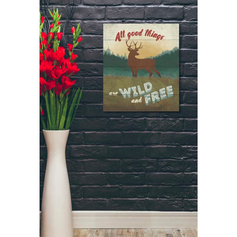 Image of 'Discover the Wild II' by Janelle Penner, Canvas Wall Art,20 x 24