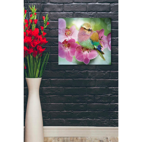 Image of 'Pretty Boy' by Steve Hunziker, Canvas Wall Art,24 x 20