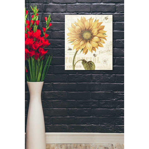 Image of 'Under The Sun I' by Lisa Audit, Canvas Wall Art,,20 x 24