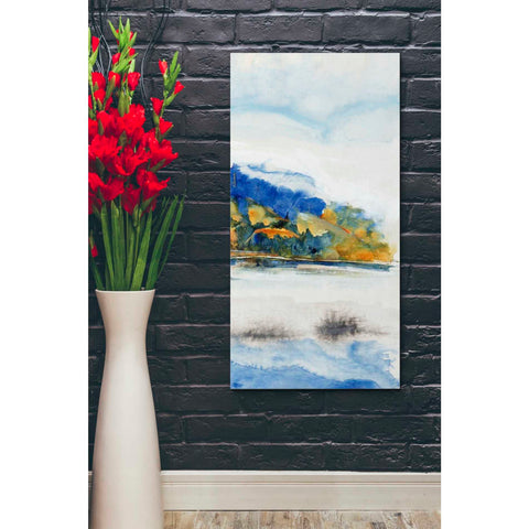 Image of 'Island Mist III' by Tim O'Toole Canvas Wall Art,20 x 40