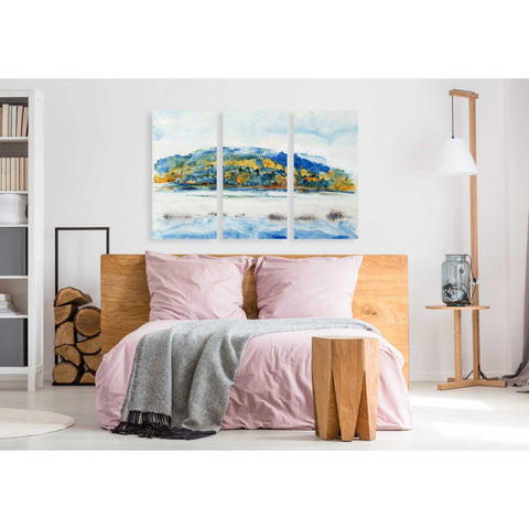 Image of 'Island Mist III' by Tim O'Toole Canvas Wall Art,20 x 40