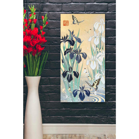 Image of 'Iris and Butterfly' by Zigen Tanabe, Giclee Canvas Wall Art
