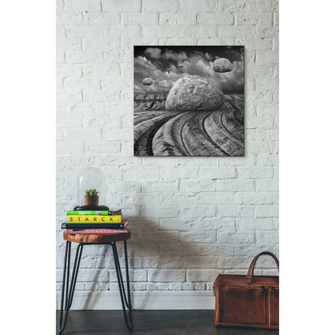 Image of 'Unharvested' by Dariusz Klimczak, Canvas Wall Art,26 x 26