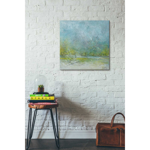 Image of 'Freedom' by Samedin Asllani, Canvas Wall Art,26 x 26