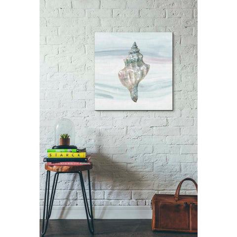 Image of 'Ocean Dream VIII' by Lisa Audit, Canvas Wall Art,,26 x 26