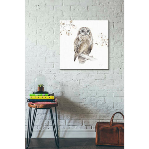 Image of 'Woodland Walk VIII' by Lisa Audit, Canvas Wall Art,,26 x 26