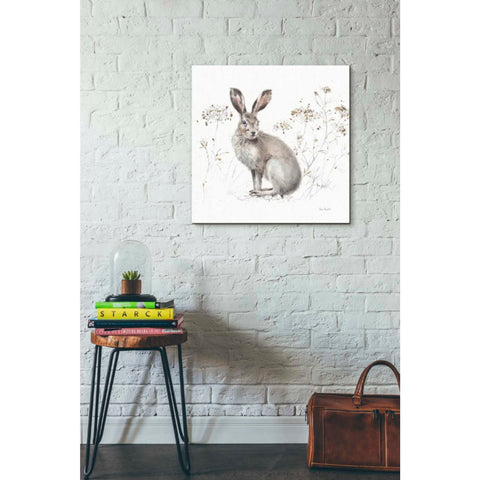Image of 'Woodland Walk XIII' by Lisa Audit, Canvas Wall Art,,26 x 26