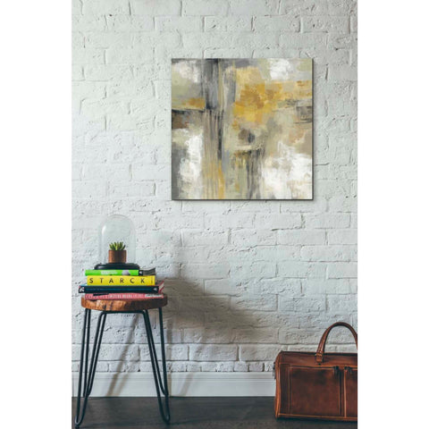 Image of 'Sun and Rain' by Silvia Vassileva, Canvas Wall Art,26 x 26