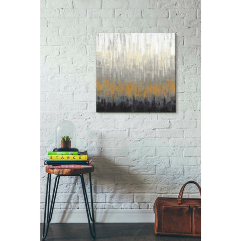 Image of 'Rain On The Asphalt' by Silvia Vassileva, Canvas Wall Art,26 x 26