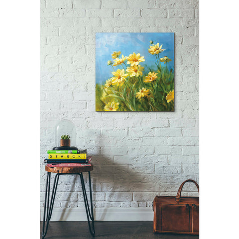 Image of 'Summer Field I' by Danhui Nai, Canvas Wall Art,26 x 26