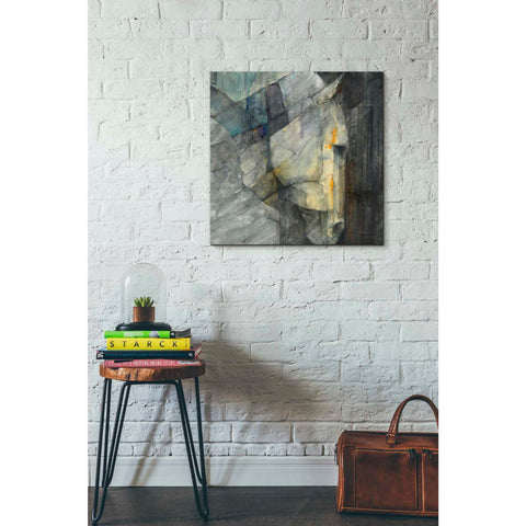 Image of 'Quiet' by Albena Hristova, Canvas Wall Art,26 x 26