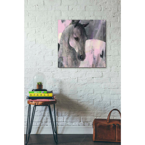 Image of 'Gallant' by Albena Hristova, Canvas Wall Art,26 x 26