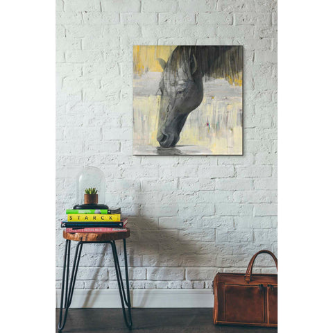 Image of 'Caleb' by Albena Hristova, Canvas Wall Art,26 x 26