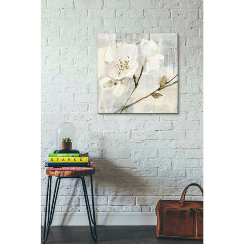 Image of 'Elegance I Greige' by Albena Hristova, Canvas Wall Art,26 x 26
