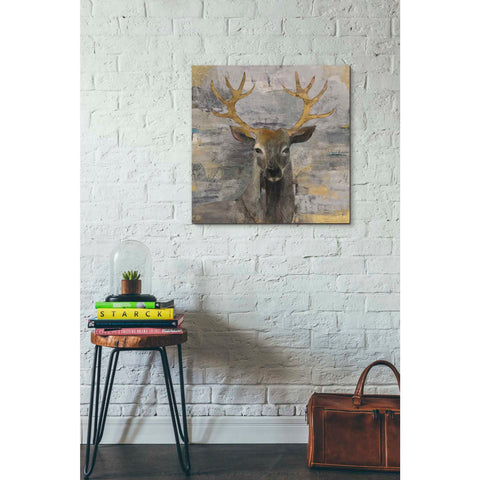 Image of 'The Leader Gold Light Grey' by Albena Hristova, Canvas Wall Art,26 x 26