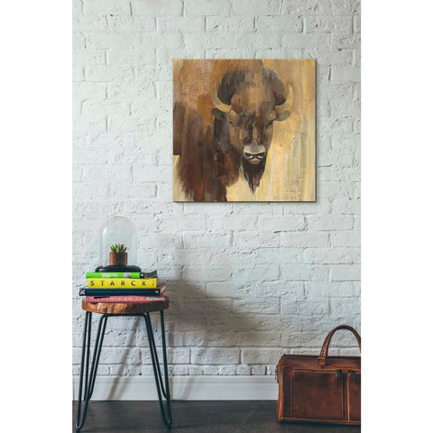 Image of 'Into the Wild I' by Albena Hristova, Canvas Wall Art,26 x 26