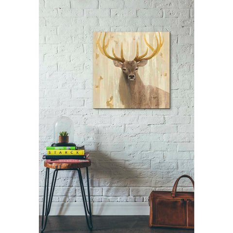 Image of 'Forest King' by Albena Hristova, Canvas Wall Art,26 x 26