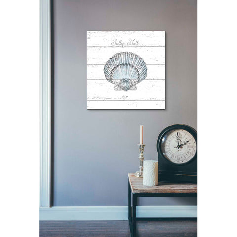 Image of 'Aqua Underwater Life VIII Shiplap' by Daphne Brissonet, Canvas Wall Art,26 x 26