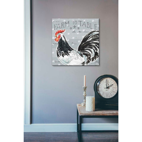 Image of 'Roosters Call III' by Daphne Brissonet, Canvas Wall Art,26 x 26