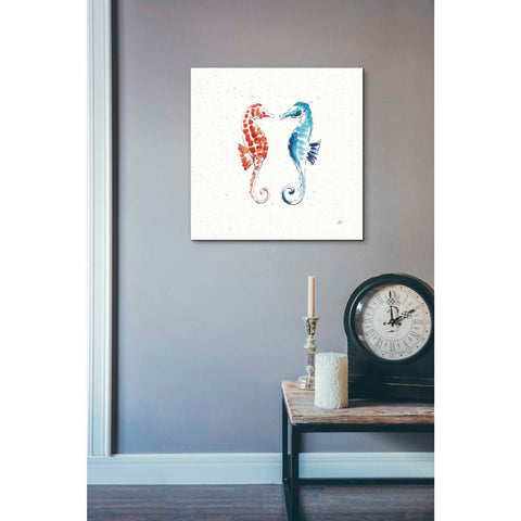 Image of 'Maritime IX' by Daphne Brissonet, Canvas Wall Art,26 x 26