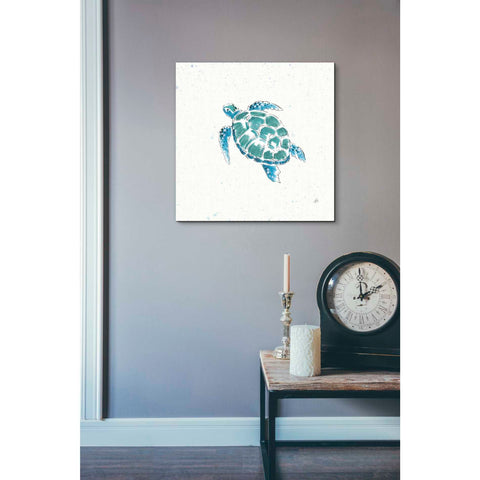 Image of 'Maritime VII' by Daphne Brissonet, Canvas Wall Art,26 x 26