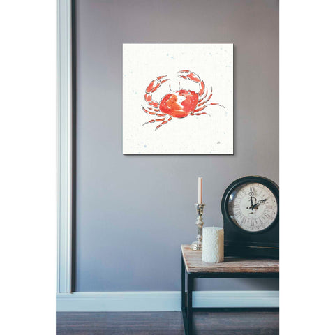 Image of 'Maritime XI' by Daphne Brissonet, Canvas Wall Art,26 x 26