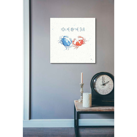 Image of 'Maritime V' by Daphne Brissonet, Canvas Wall Art,26 x 26