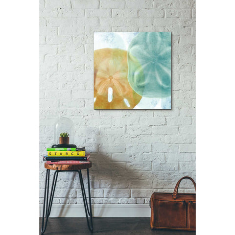 Image of 'Luminous Seashells' by Elena Ray Canvas Wall Art,26 x 26