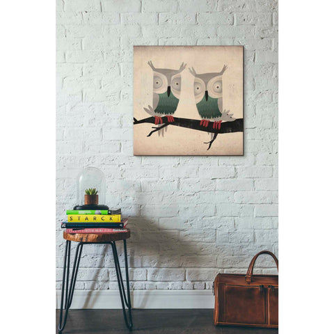 Image of 'Tan Owls Square' by Ryan Fowler, Canvas Wall Art,26 x 26