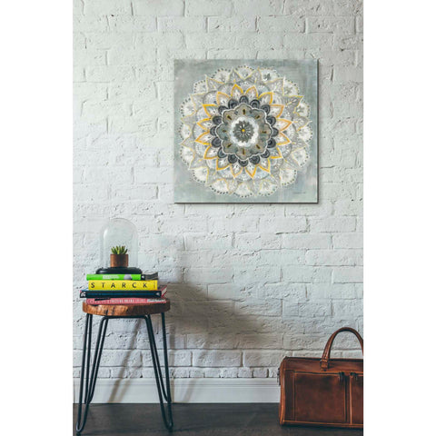 Image of 'Sunburst' by Danhui Nai, Canvas Wall Art,26 x 26