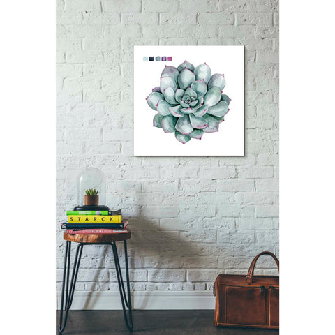 Image of 'Succulent II' by Grace Popp Canvas Wall Art,26 x 26
