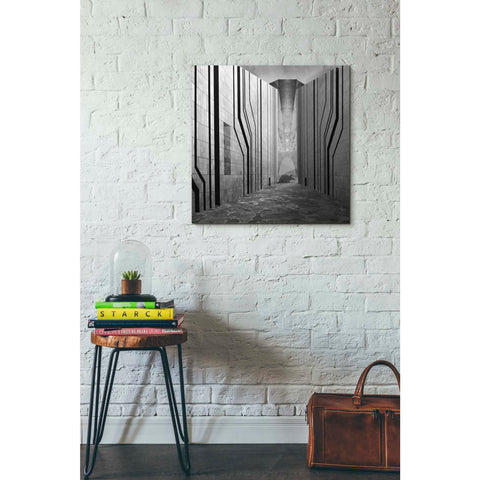 Image of 'Armadillo' by Dariusz Klimczak, Giclee Canvas Wall Art