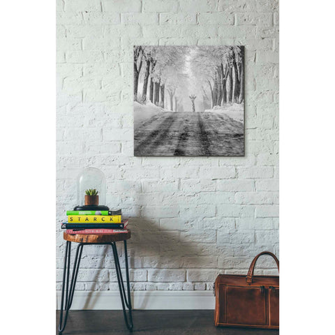 Image of 'Surprise' by Dariusz Klimczak, Giclee Canvas Wall Art
