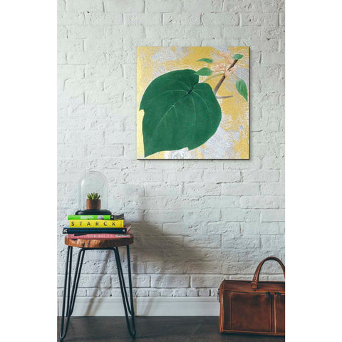 Image of 'Paulownia' by Zigen Tanabe, Giclee Canvas Wall Art