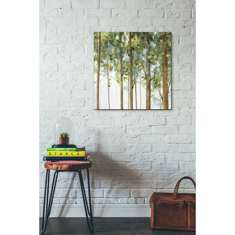 Image of 'Forest Study III' by Lisa Audit, Canvas Wall Art,,26 x 26